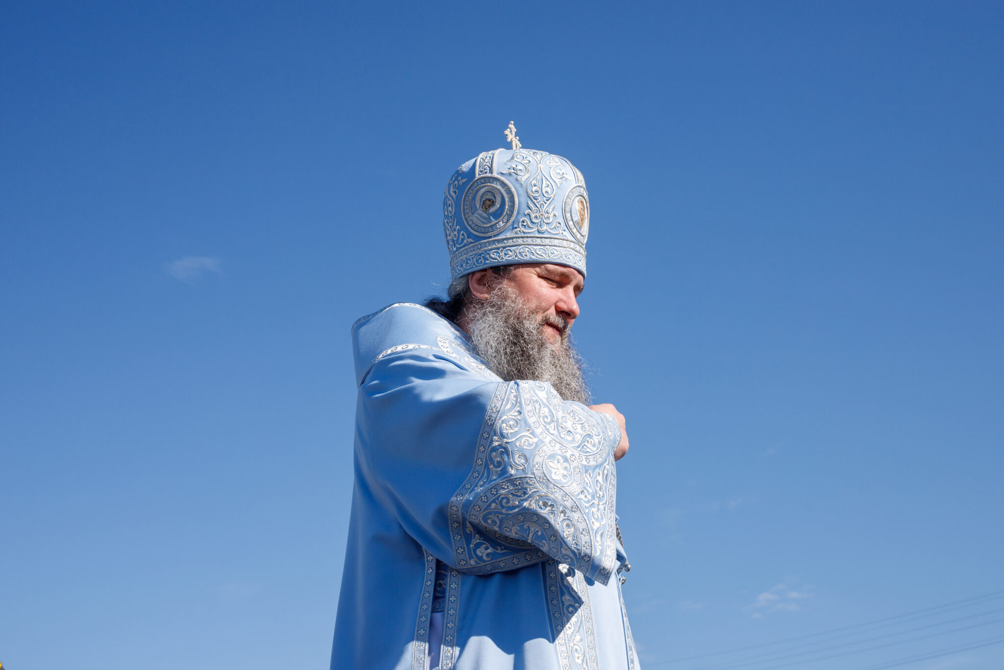 Владыка митрополит Феофан. 2017 год православные