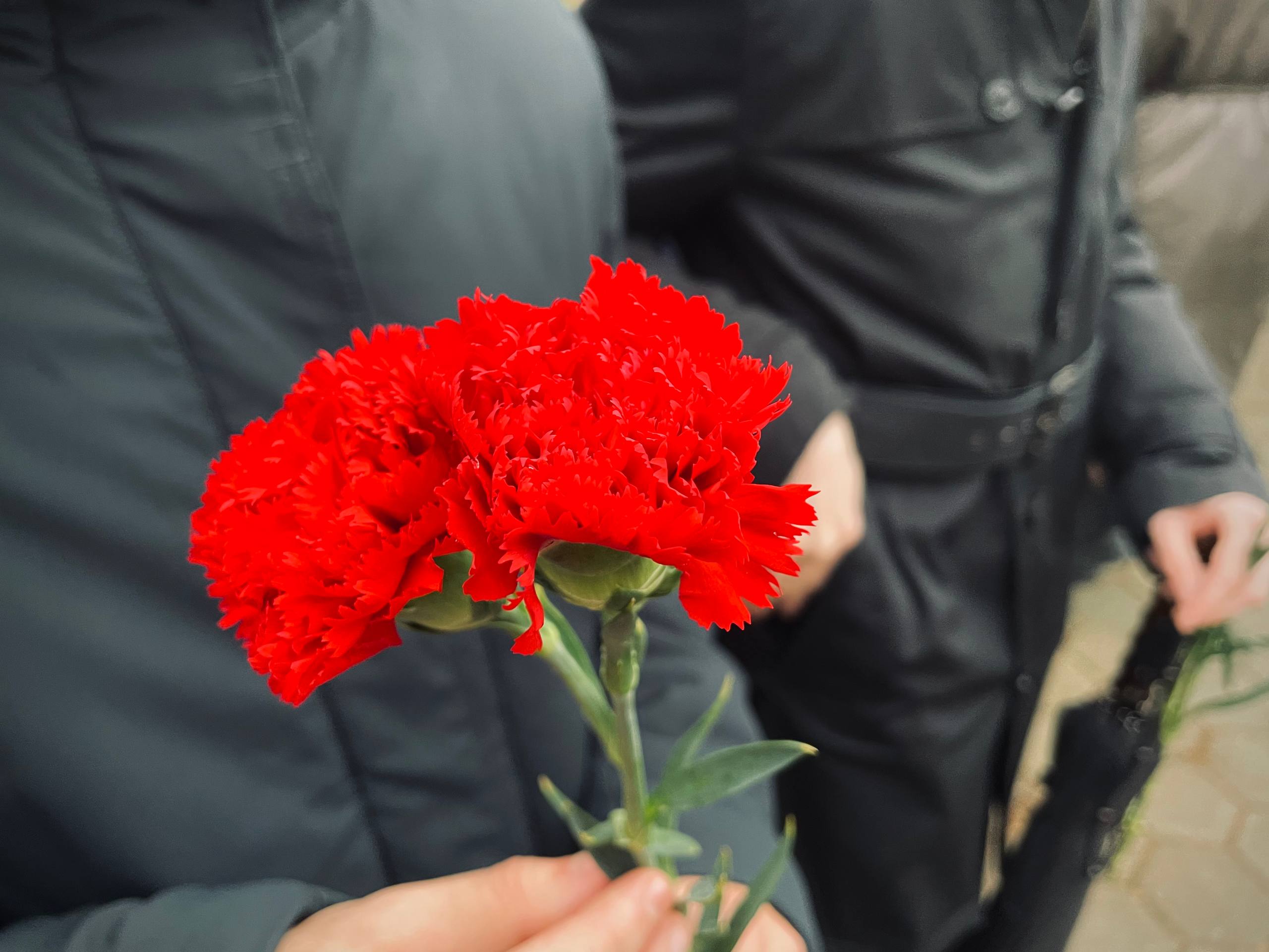 9179ff8c-a5ce-4336-a4f6-31f7378a4e62