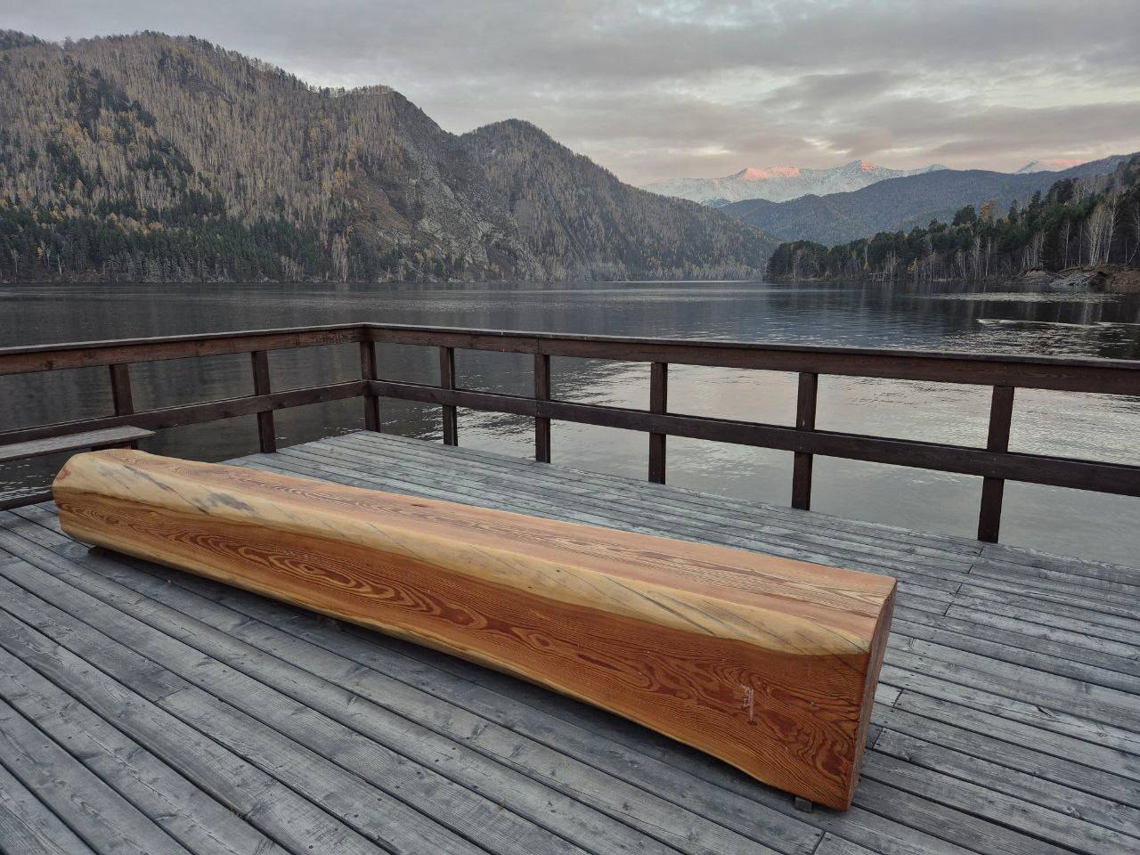 f021c21c-2392-4369-b03a-9544107ee67c